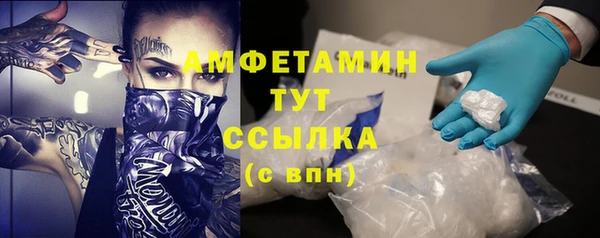 прущие грибы Аркадак