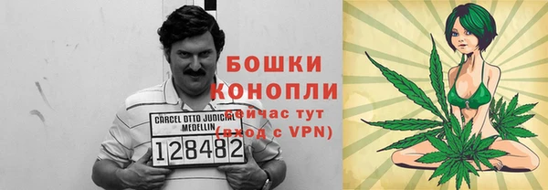 прущие грибы Аркадак
