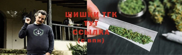 прущие грибы Аркадак