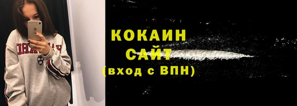 прущие грибы Аркадак