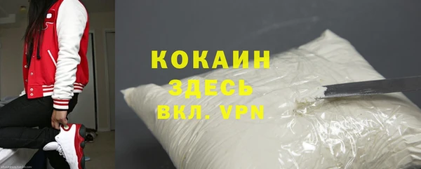 прущие грибы Аркадак
