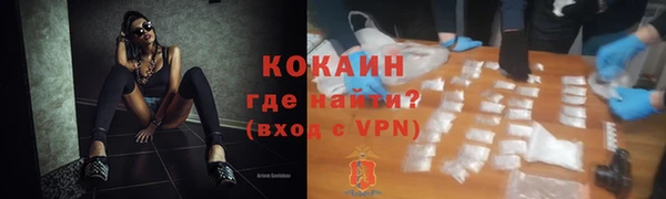 прущие грибы Аркадак
