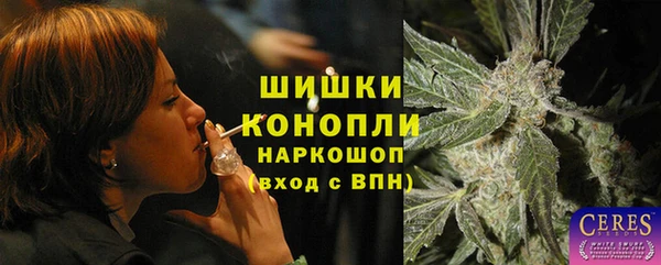 прущие грибы Аркадак