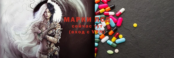 прущие грибы Аркадак
