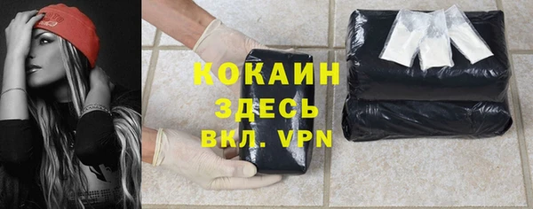прущие грибы Аркадак