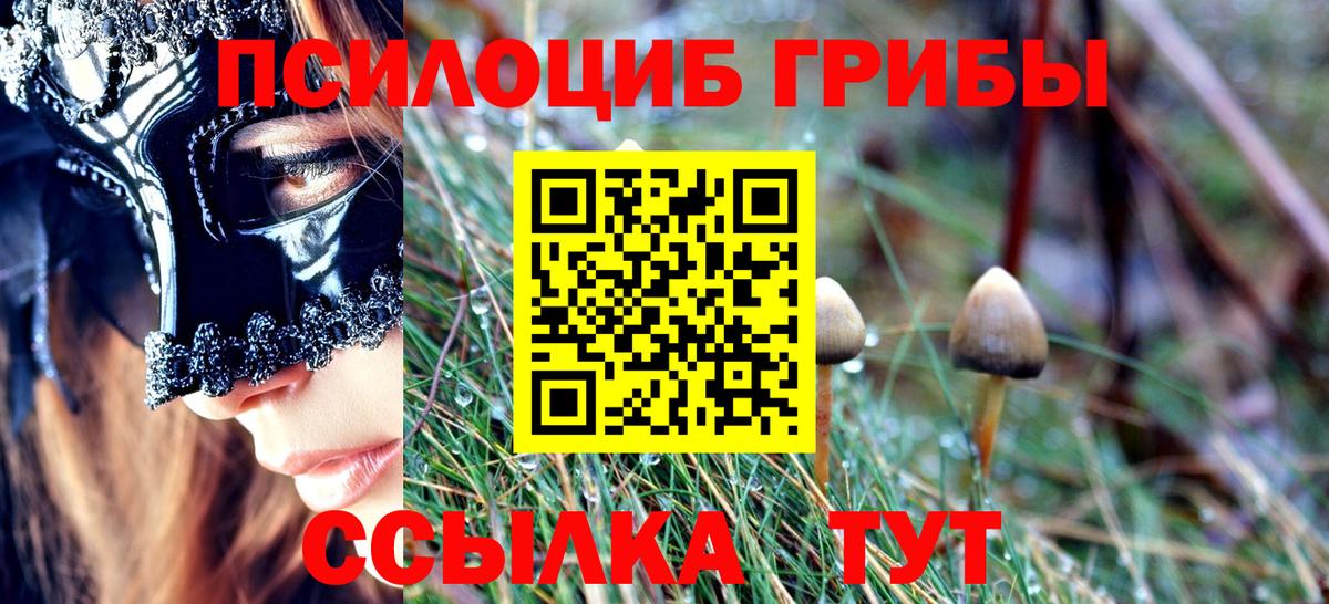 Псилоцибиновые грибы мухоморы  Вход с VPN  магазин    Дедовск  Галлюциногенные грибы GOLDEN TEACHER 